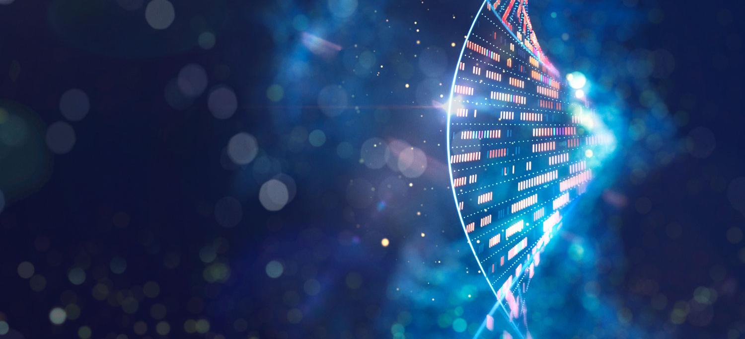 Image of human genomic DNA molecular structure