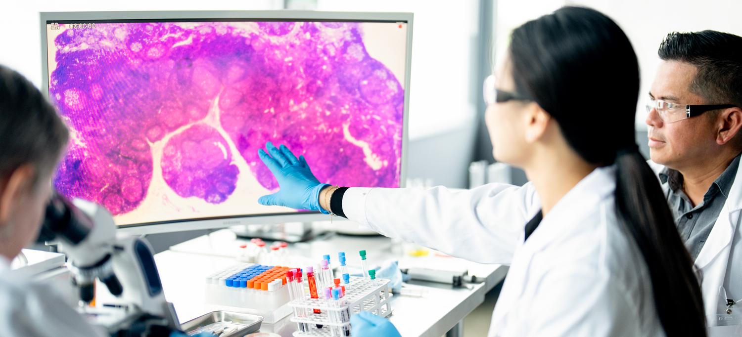 Researchers in the lab reviewing image on a screen.