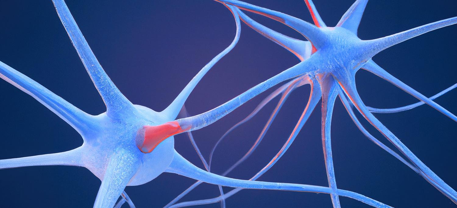 A rendering of neurological connections
