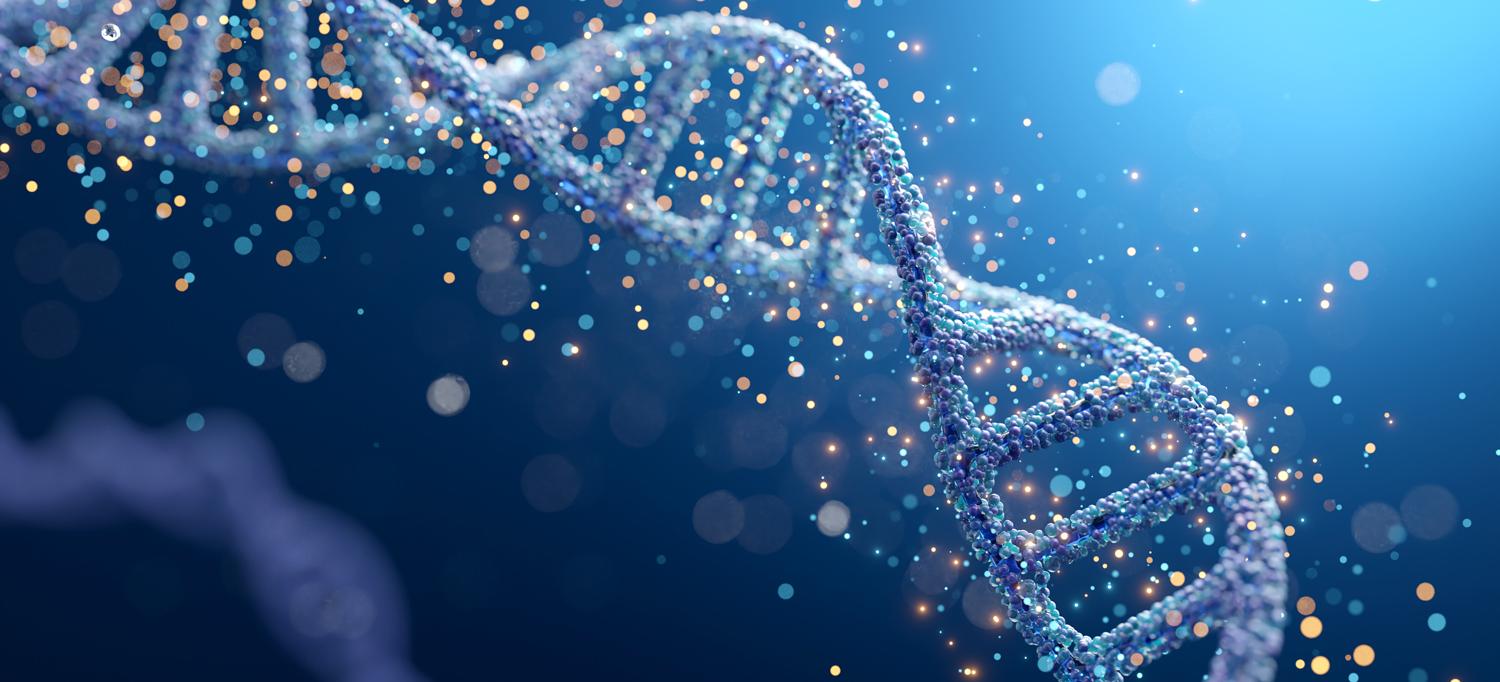 An image of the DNA double helix 