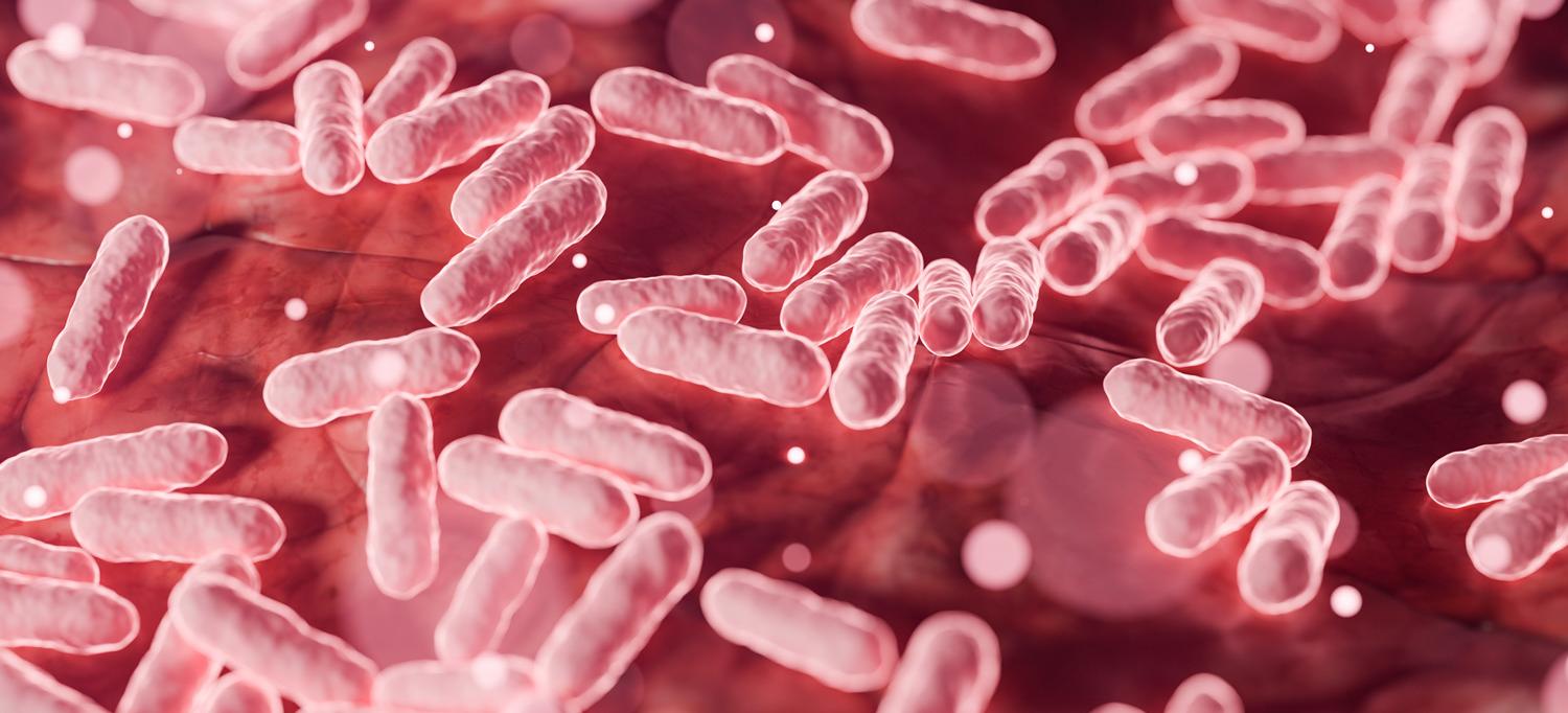  3D microscopic rod-shaped bacteria floating on biological surface
