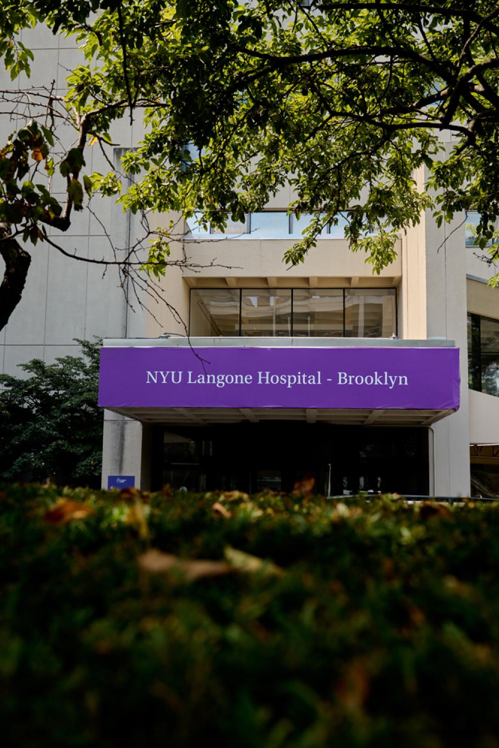 NYU Langone Health NewsHub | NYU Langone News