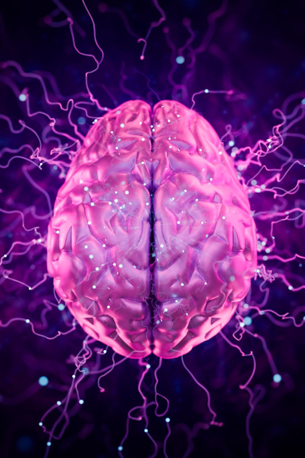 NYU Langone Health NewsHub | NYU Langone News