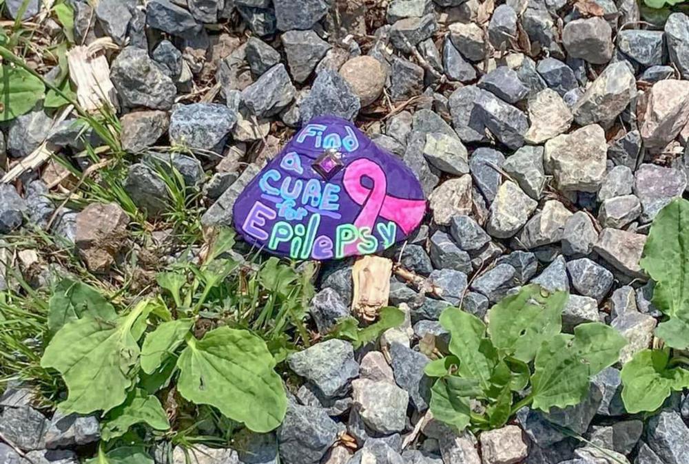 A shell painted purple and with a ribbon and the words “Find a Cure for Epilepsy” lies on gravel.