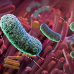 Colorful, closeup image of bacteria.