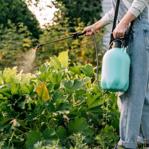 A woman sprays outdoor plants with pesticide.