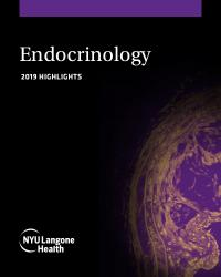 Endocrinology Highlights | NYU Langone News