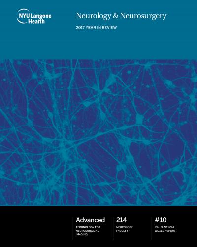 Neurology & Neurosurgery 2017 Year in Review