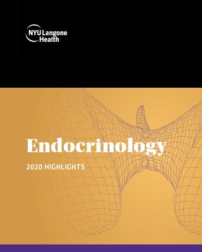 Endocrinology Highlights 2020–2021 Cover