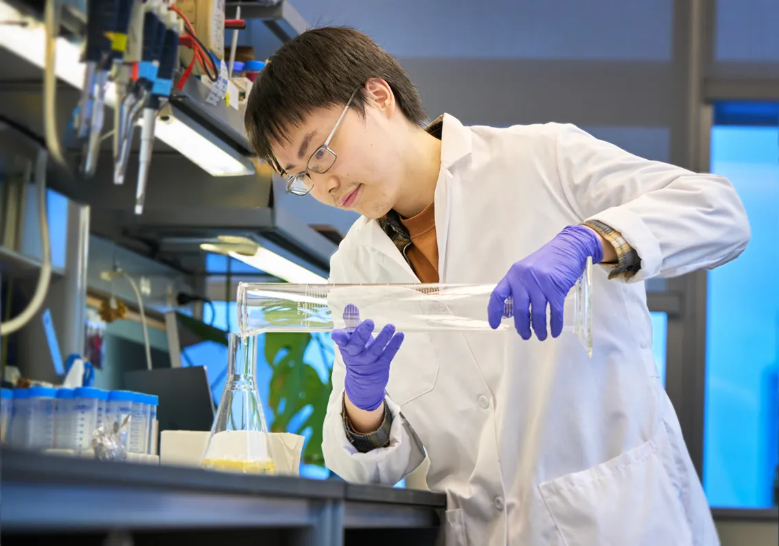 Researcher Qingyue Zhang, wearing a white lab coat and purple gloves, pours liquid from a beaker into a container.